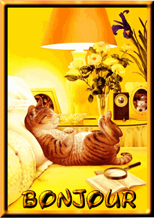 bonjour à tous !!!!!!!!!!!!